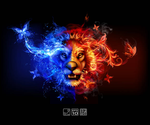 abstrakte feuer und wasser lion - lions tooth stock-grafiken, -clipart, -cartoons und -symbole