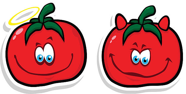 Buena & mal tomate - ilustración de arte vectorial