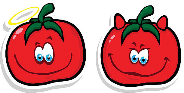 Bonne & mal de tomate - Illustration vectorielle