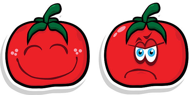 Feliz & triste tomate - ilustración de arte vectorial