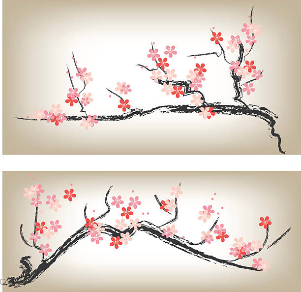 illustrazioni stock, clip art, cartoni animati e icone di tendenza di prugna in fiore - blossom growth single flower cherry blossom