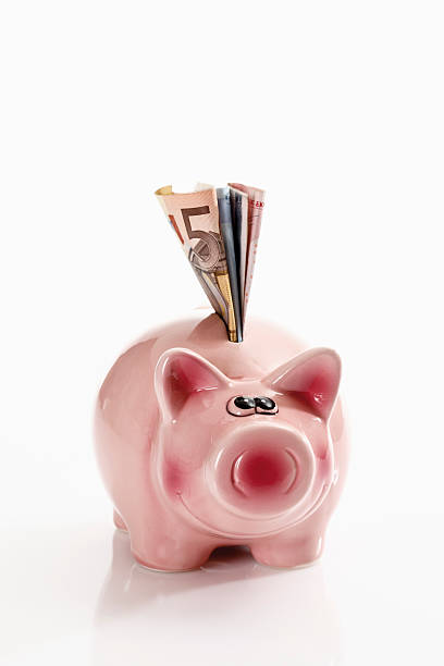 istock Piggy bank with euro notes 531237085