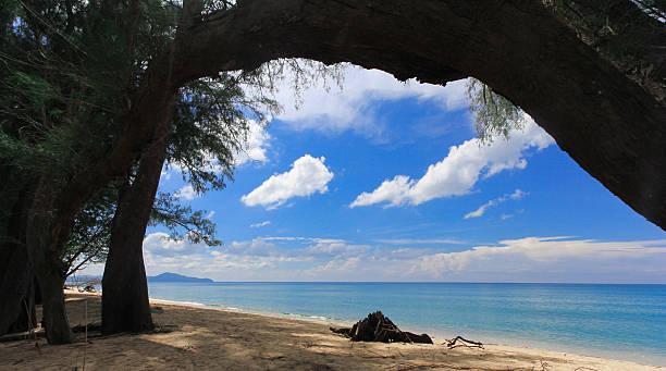 istock Sea stones at sunset Phi Phi Island thailand,Phuket 531237621
