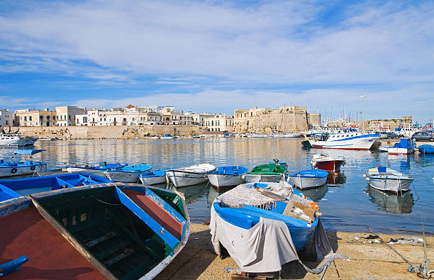 istock Panoramic view of Gallipoli. Puglia. Italy. 531237883
