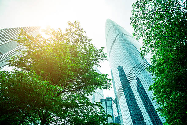 istock modern office building with green plant 531238394