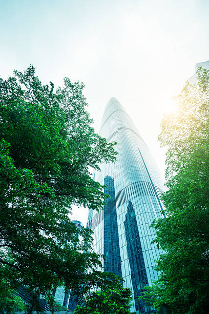 istock modern office building with green plant 531238586