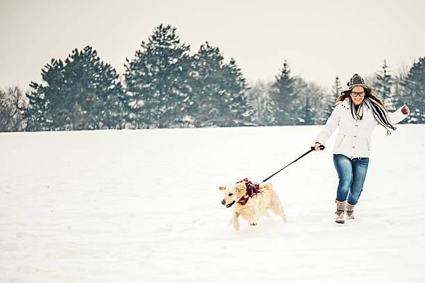 femme avec son chien course - snow dog walking running photos et images de collection