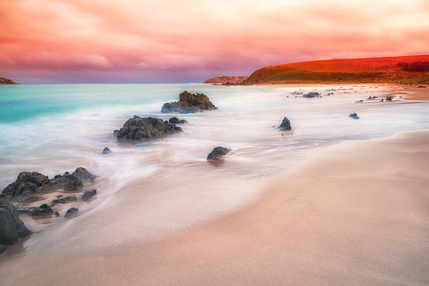 Petrel Cove is a 200 m long south facing beach, which is bordered and backed by the 20 high steep bluffs of Rosetta Head. The steeply dipping metasedimentary rocks also form prominent jagged rock platforms to either side and along the eastern half of the beach.