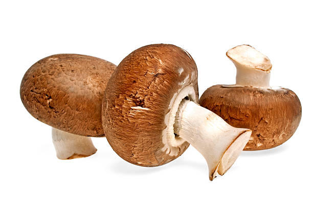 istock Fresh mushroom champignon isolated on white background 531240551