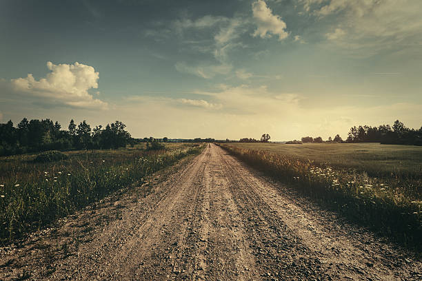 Country Landscape - field and road at the sunset. Stock photo.