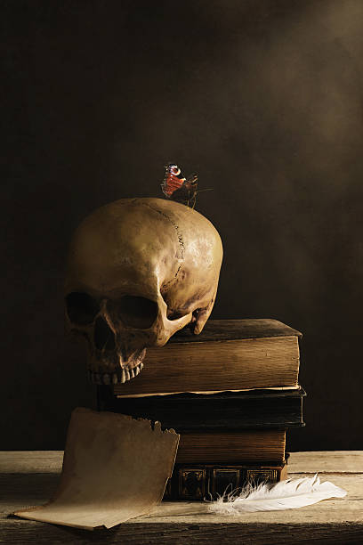 istock human Skull with Butterfly and a empty Page with Feather 531241368