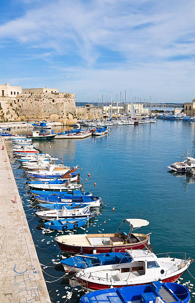 istock Panoramic view of Gallipoli. Puglia. Italy. 531241485