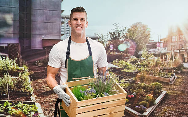 istock Smiling gardener holding box in garden 531241630