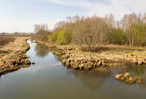 Abava river in Latvia.