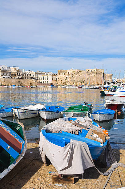 istock Panoramic view of Gallipoli. Puglia. Italy. 531241711