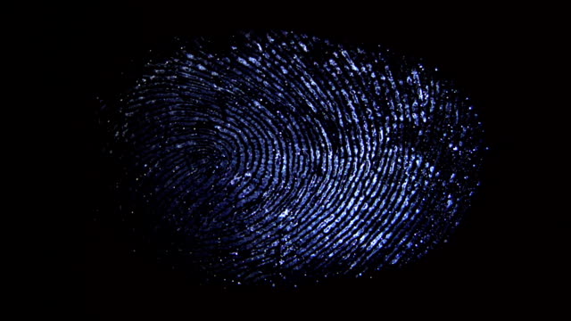 The discovery of the fingerprint on the transparent surface