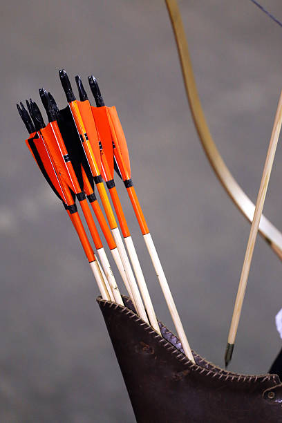 istock Various colored arrows in quiver as a background 531241982