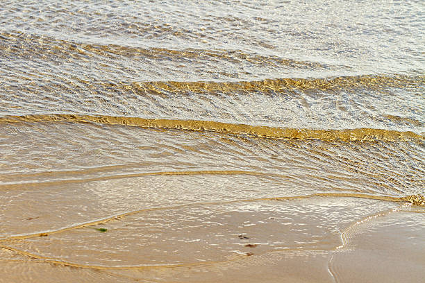 istock Baltic sea water. 531242060