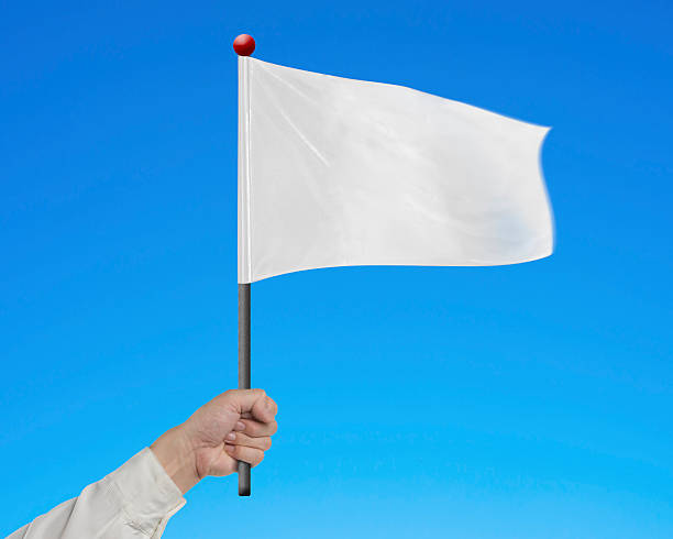istock Man hand holding blank white flag isolated on blue 531242097