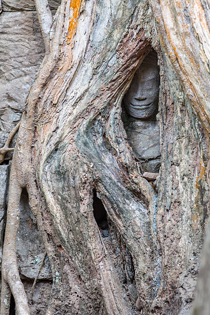 apsara nascosti del tempio di ta prohm (angkor) - siem reap province foto e immagini stock