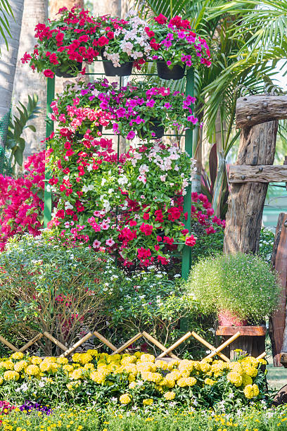 istock Flowers in the garden. 531247038