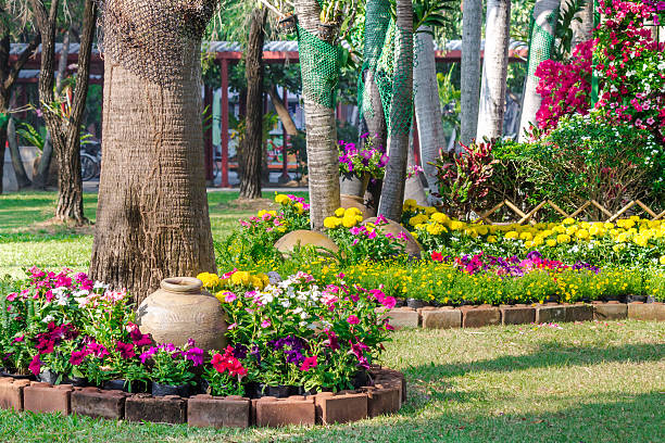 istock Flowers in the garden. 531247142