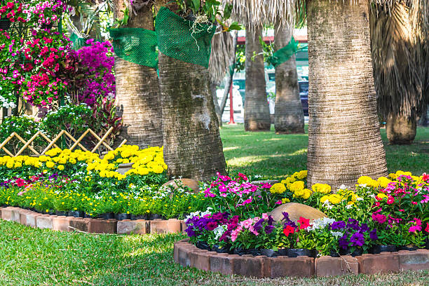 istock Flowers in the garden. 531247214