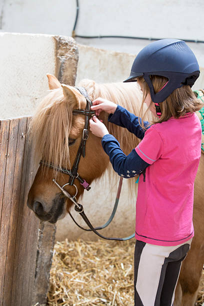 istock Girl preparing her pony horse 531248890