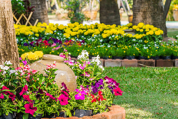 istock Flowers in the garden. 531249498