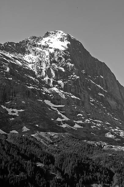 istock Summer in the Swiss mountains - Bernese Alps 531250114