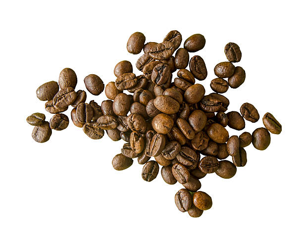 sprawiedliwy handel organic ziarna kawy - coffee crop farmer equality coffee bean zdjęcia i obrazy z banku zdjęć