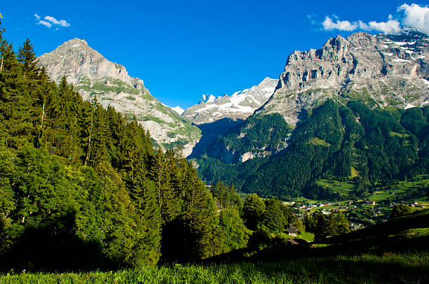 istock Summer in the Swiss mountains - Bernese Alps 531250238