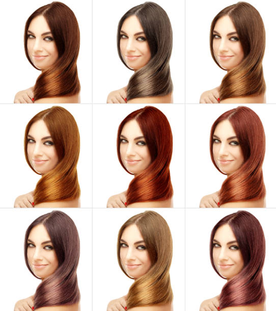 istock Concept Coloring Hair 531250319