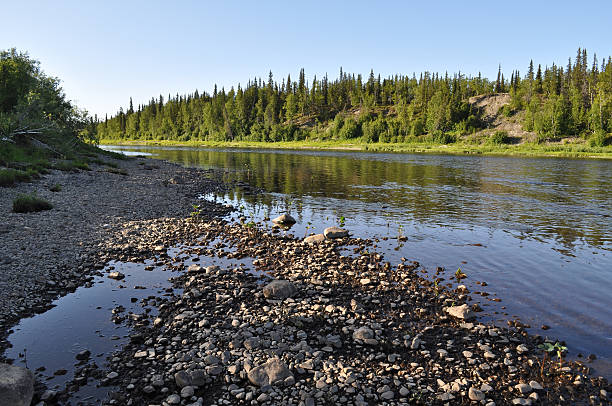 istock Taiga river Paga, Virgin Komi forests. 531250675