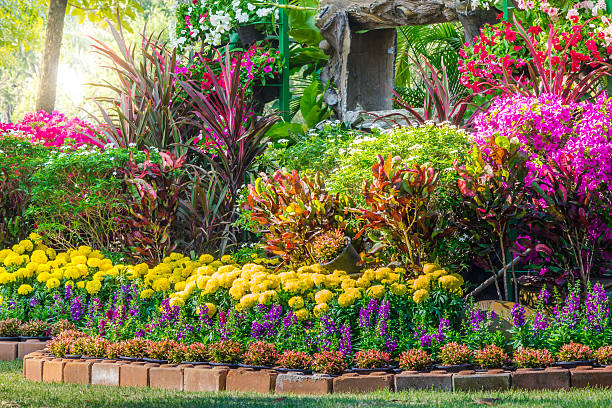 istock Flowers in the garden. 531250922
