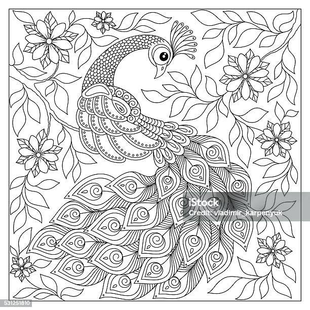 Hand Drawn Peacock For Anti Stress Coloring Page Stock Illustration - Download Image Now - Animal Markings, Flower, Page