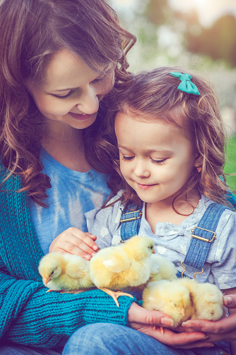 Cute little girl and her mother with chickens outdoors