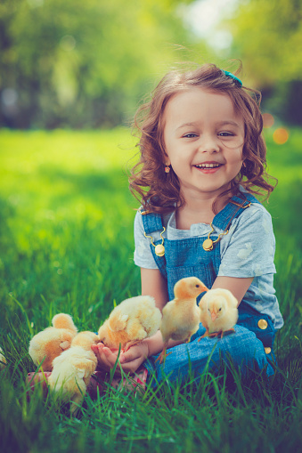 Cute little girl feeding chickens outdoors
