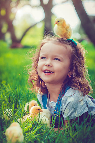 istock Little girl with chickens 531252442