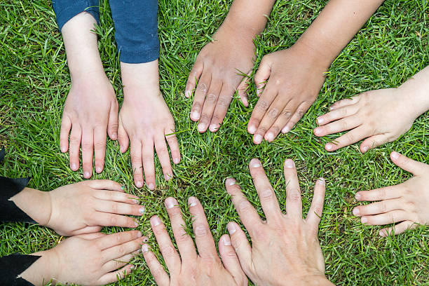 istock Hands of children on the lawn 531253014