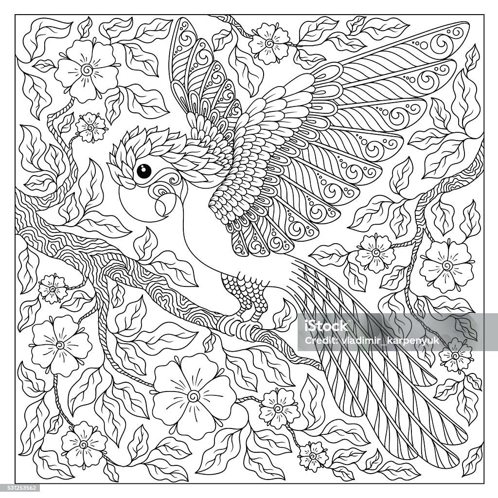 Exotic bird,fantastic flowers,branches, leaves Exotic bird,fantastic flowers,branches, leaves.Contour thin line drawing.Vector fantasy stylized cockatoo jungle parrot silhouette.T-shirt print.Coloring book page for adults and children.Black White Adult stock vector