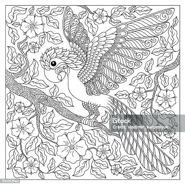 Exotic Bird Fantastic Flowers Branches Leaves Stock Illustration - Download Image Now - Adult, Coloring, Coloring Book Page - Illlustration Technique