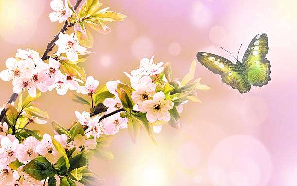 istock Beautiful butterfly and flowers 531253694