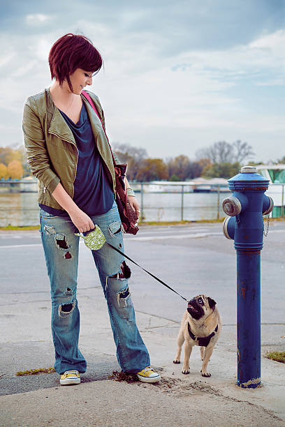 istock Girl and pug looking at each other 531254257