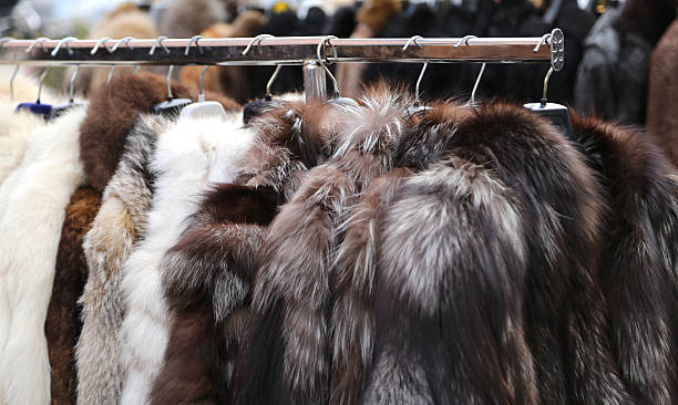 istock Luxury fur coat very sofly vintage style 531255798