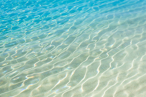 istock Shining blue water ripple background. Clear sea water background. 531256444