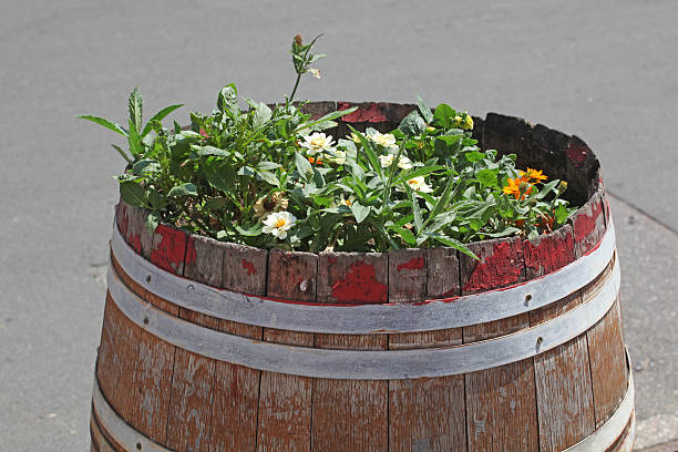 Flowers in wooden barrel from Tokay