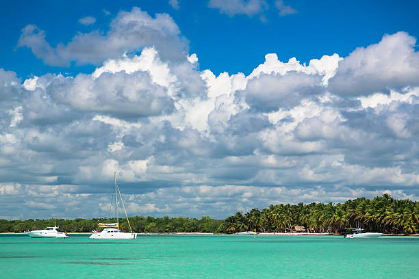 istock Coconut trees on sea shore 531259262