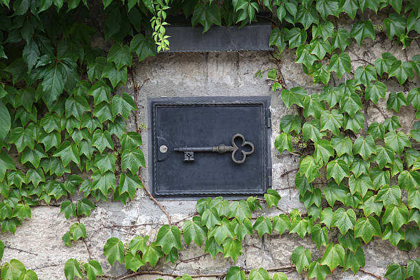 istock The door in the wall with a key 531259316