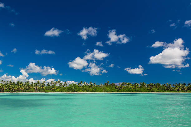 istock Panoramic view of Exotic Palm trees and lagoon 531259572